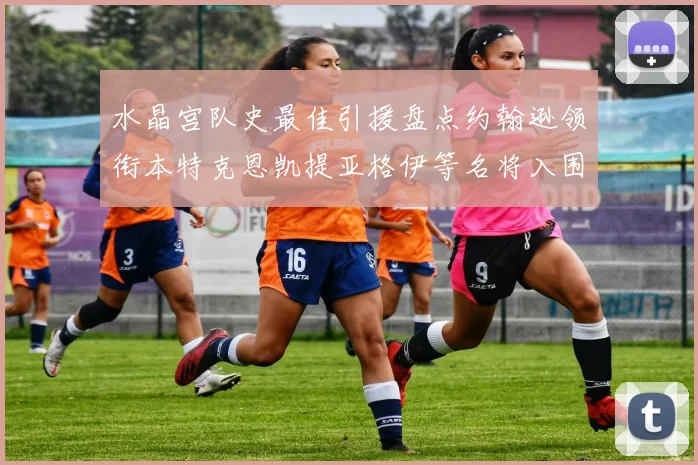 水晶宫队史最佳引援盘点约翰逊领衔本特克恩凯提亚格伊等名将入围