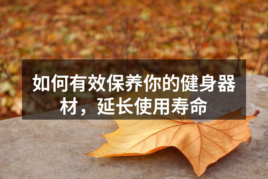 如何有效保养你的健身器材，延长使用寿命