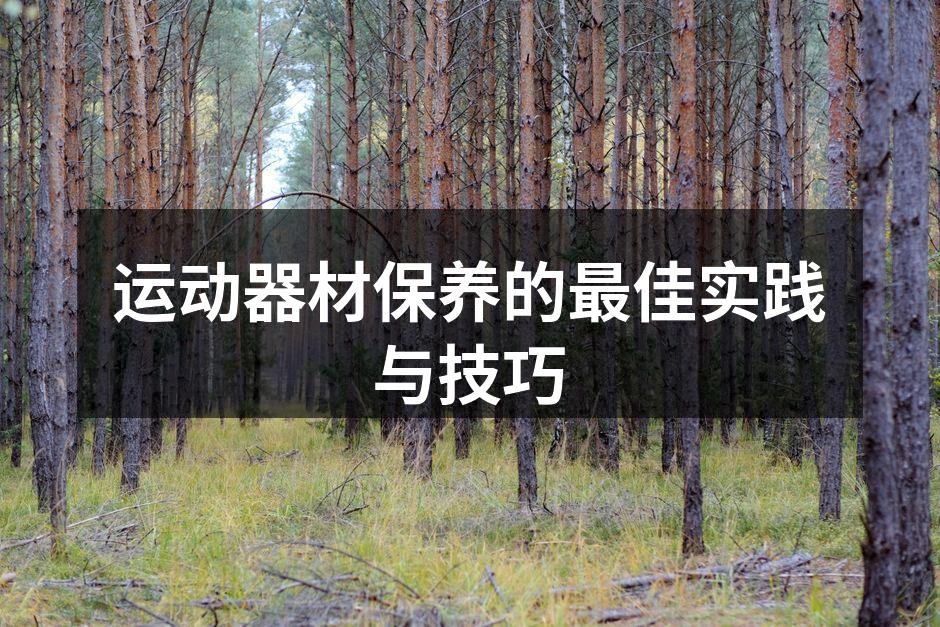 运动器材保养的最佳实践与技巧